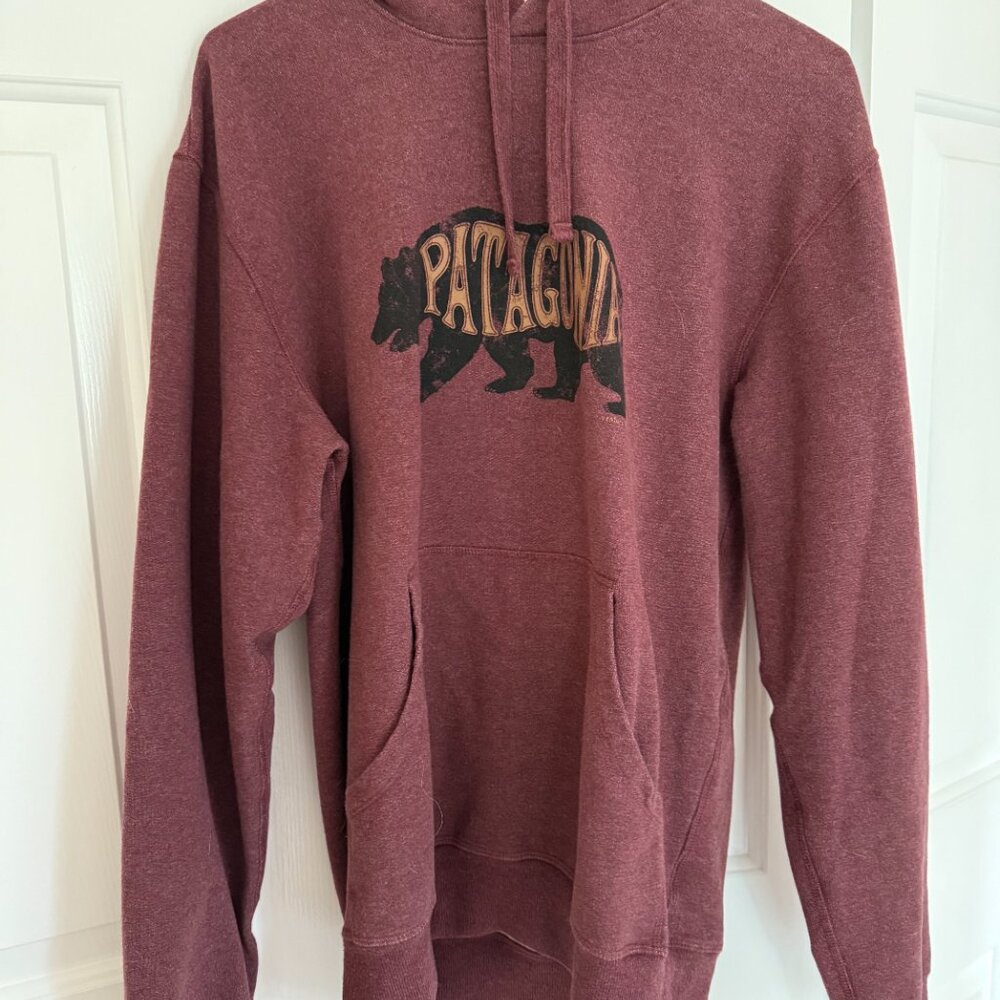 Patagonia Men's Fitz Roy Bear Uprisal Hoody (Size Small)
